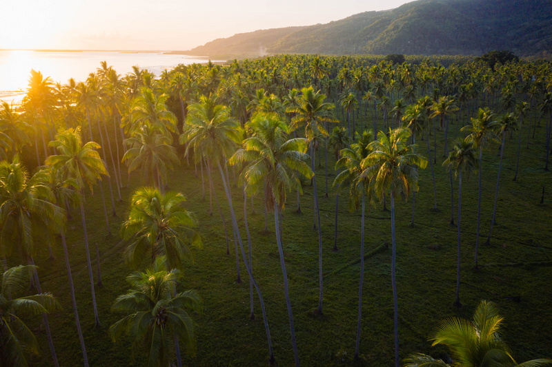 Hiking in Malekula – 6 Days