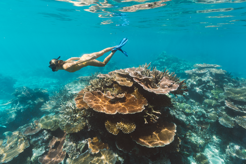 Female tourist snorkelling, Espiritu Santo, Sanma Province, Vanuatu. Photo: Vanuatu Tourism Office