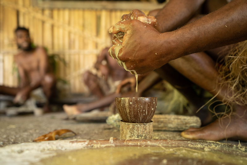 Ni-vanuatu man squeezing kava in a kava shell, Kava preparation, Hanare Custom Village, Maewo island, Penama Province, Vanuatu, Photo: Vanuatu Tourism Office