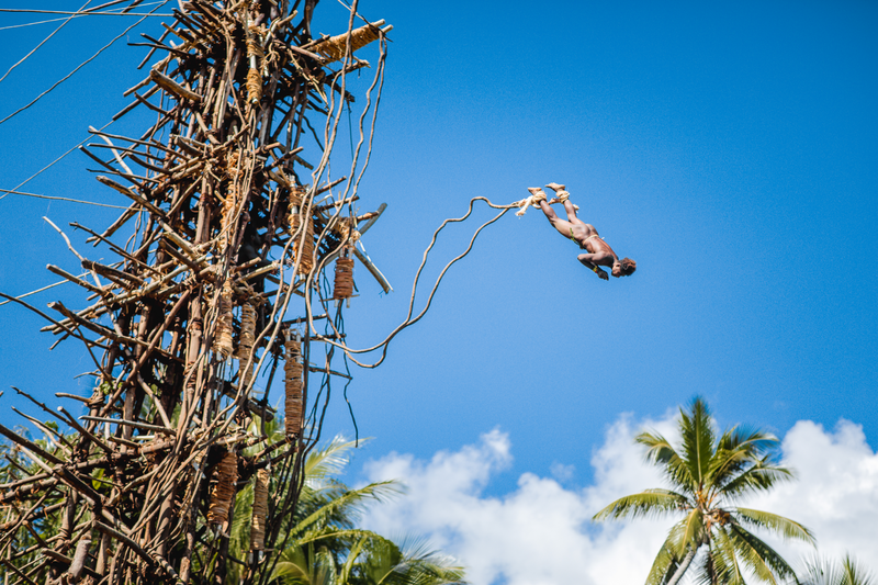 a ni-Vanautu man jumps of the tower as part of the Nagol at Pentecost Island, Penama Province