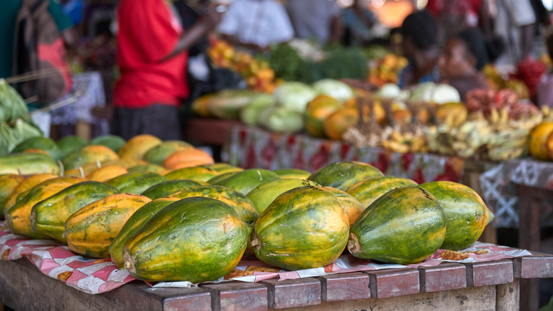 Pawpaws displayed on a table, Port-Vila market, Efate island, Shefa Province, Vanuatu. Photo: Vanuatu Tourism Office