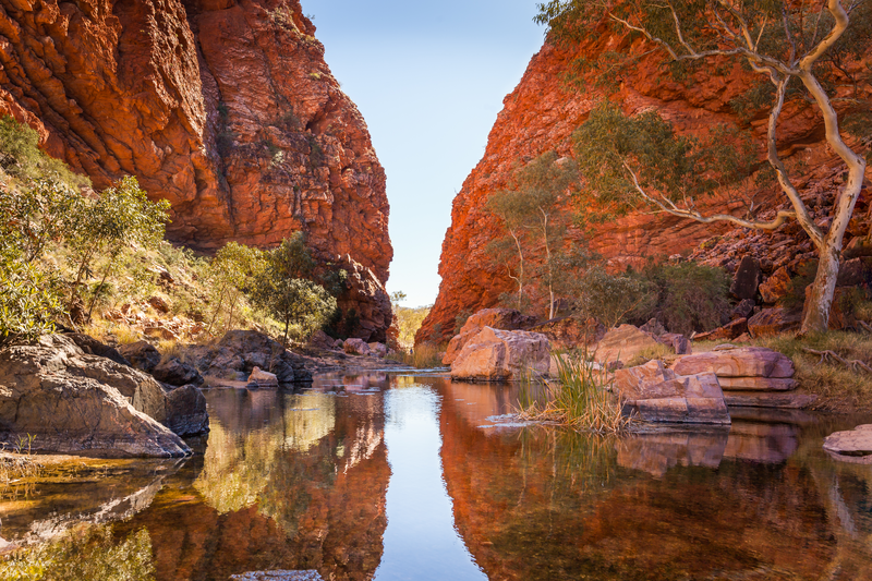 「A Panoramic Journey through Australia:P A Panoramic Journey Through Australia book by Peter Lik